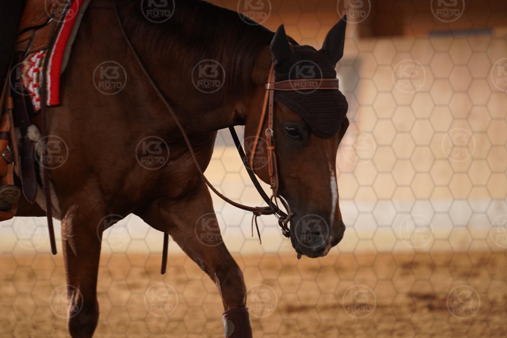s_A9_02835.jpg